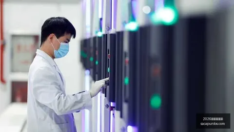 篮网球迷大战：主场被客队占领的惊人真相